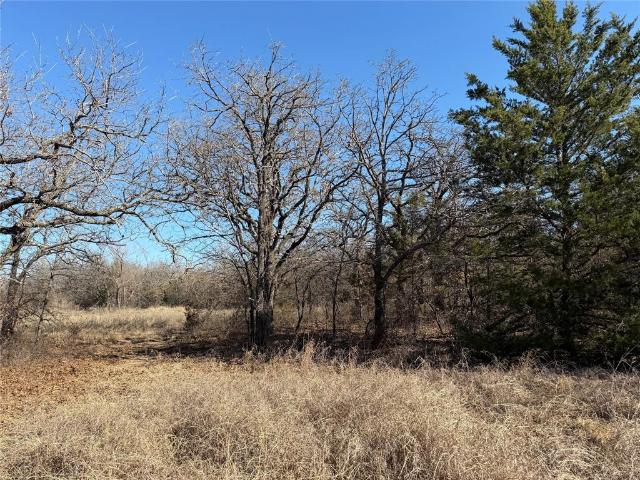 Land for sale in Sunset, Texas