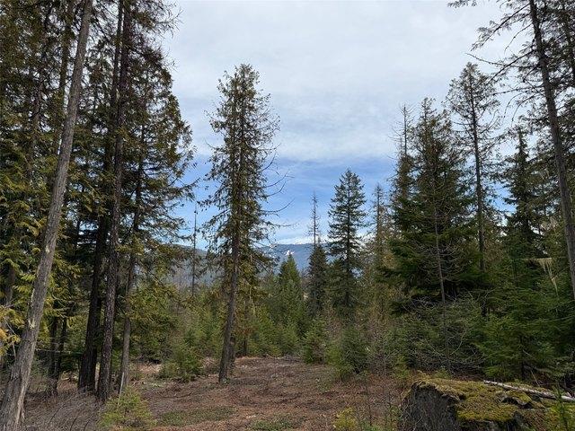 Land for sale in Sanders, Montana