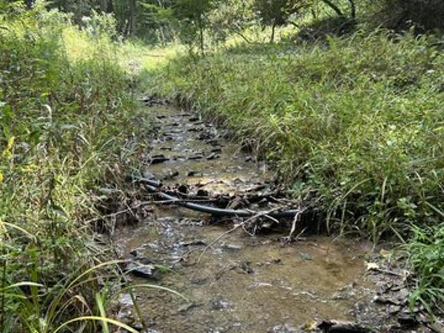 Land for sale in West Virginia