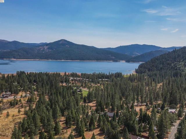 House for sale in Trinity Center, California