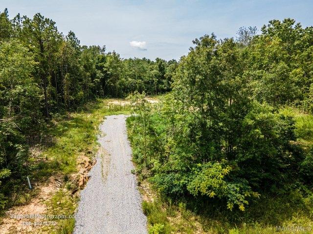 Land for sale in Elmore, Alabama