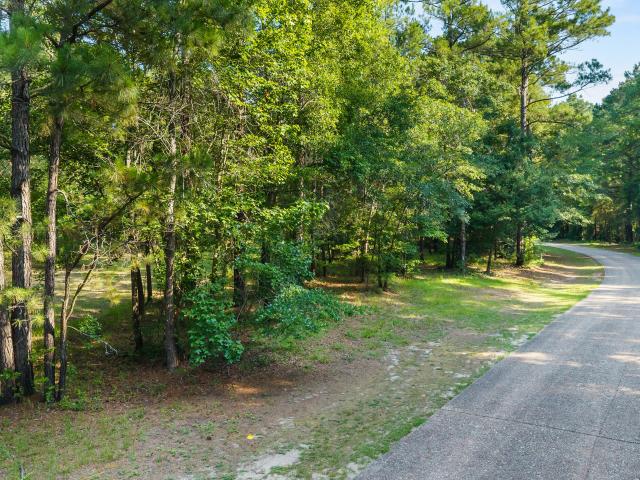 Land for sale in Wallace, Duplin County