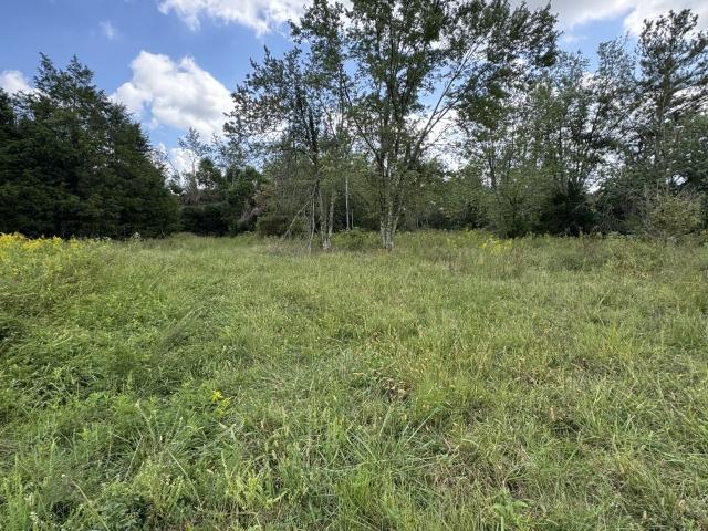Land for sale in Tennessee