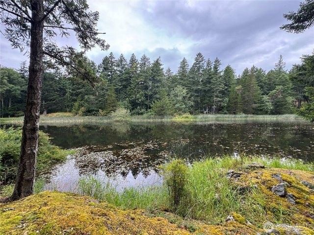 House for sale in Orcas, Washington