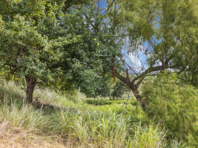 Land for sale in Carmine, Texas