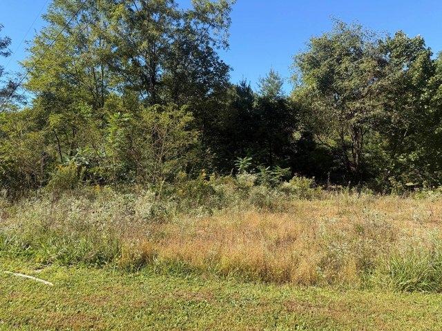 Land for sale in Crossnore, Avery County