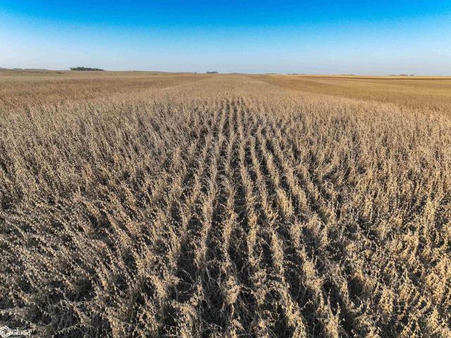 Farm for sale in Algona, Kossuth County