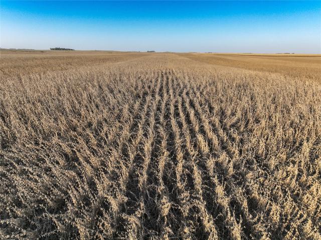 Land for sale in Algona, Kossuth County