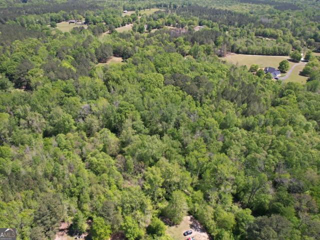Land for sale in Williamson, Georgia