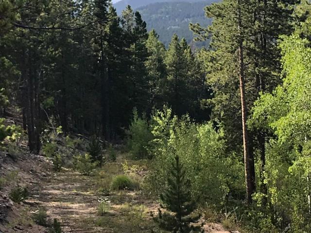 Land for sale in Pinecliffe, Colorado