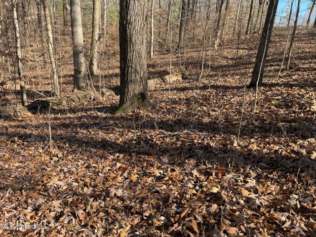 Land for sale in Hernando, DeSoto County