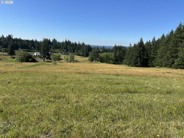Land for sale in Washougal, Washington