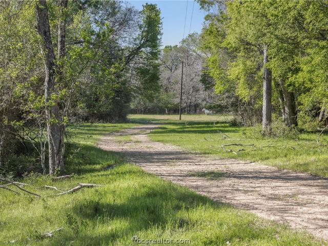 Land for sale in Rockdale, Milam County