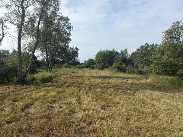 Land for sale in Reed City, Michigan