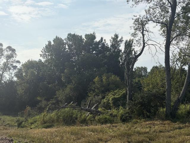 Land for sale in Michigan