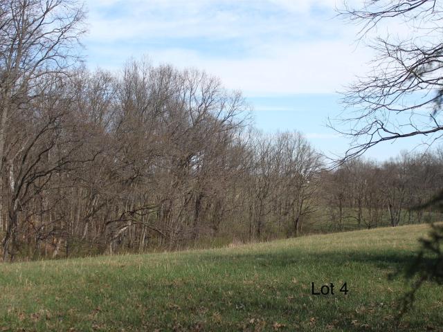 Land for sale in Cynthiana, Kentucky