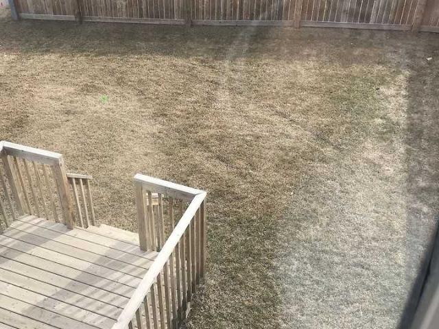 Apartment for rent in Wedgewood, Alberta