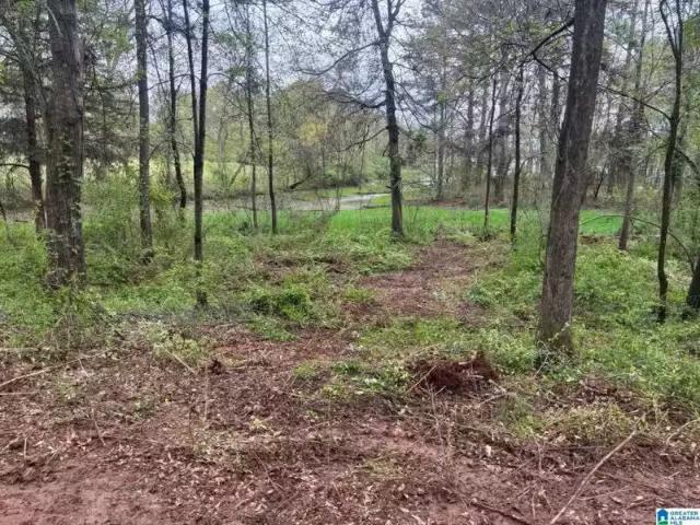 House for rent in Cropwell, Alabama