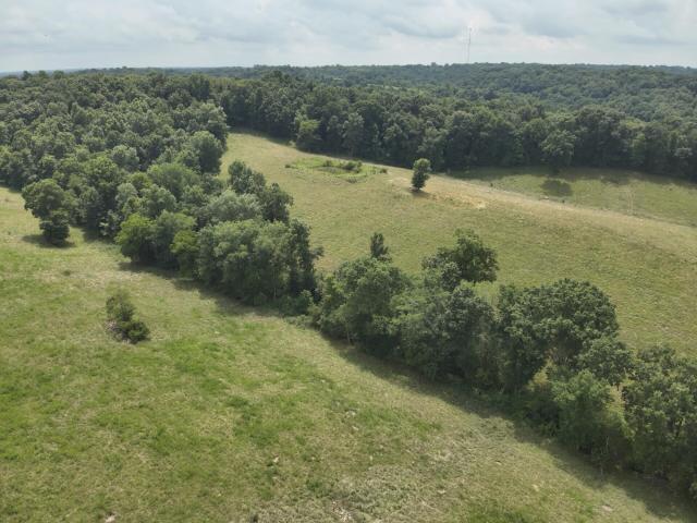 Land for sale in Cynthiana, Kentucky