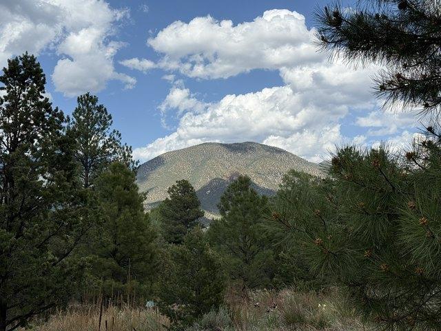 House for sale in Costilla, New Mexico