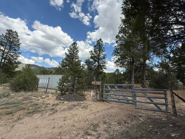 House for sale in Costilla, New Mexico