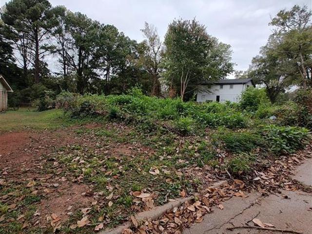 Land for sale in Ellenwood, Georgia