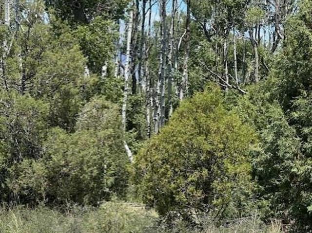 Land for sale in Mosca