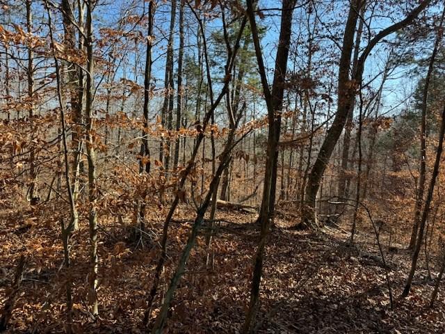 Land for sale in Celina, Middle Tennessee