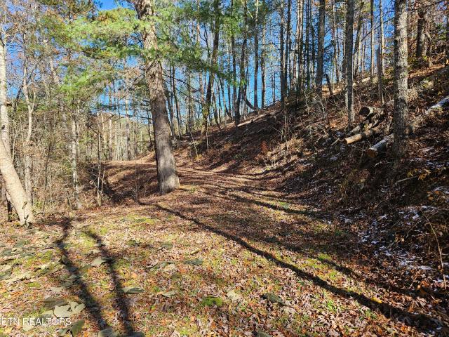 Land for sale in Tennessee