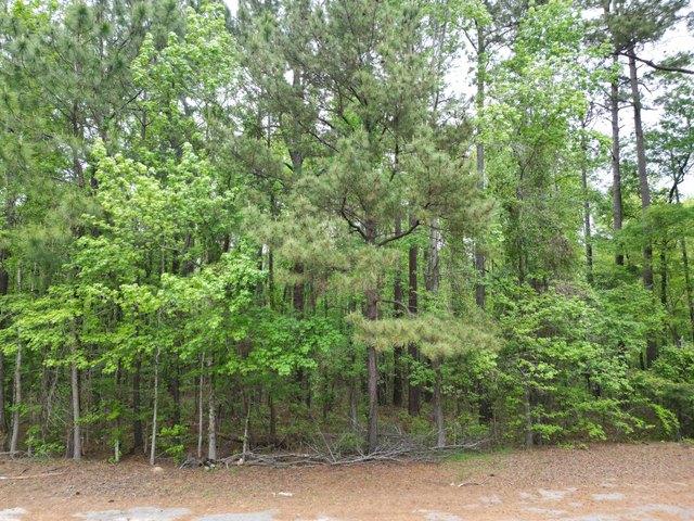Land for sale in Saint Matthews, South Carolina