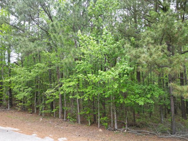 Land for sale in Saint Matthews, South Carolina