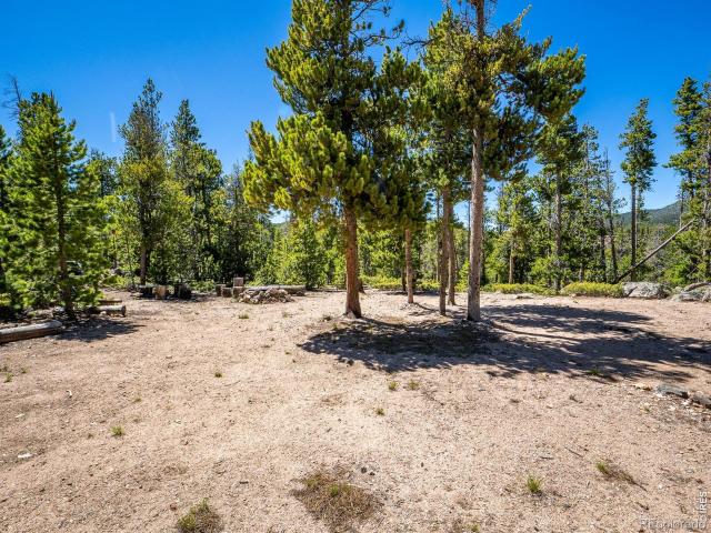 Land for sale in Red Feather Lakes, Colorado