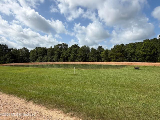 Land for sale in Poplarville, Mississippi