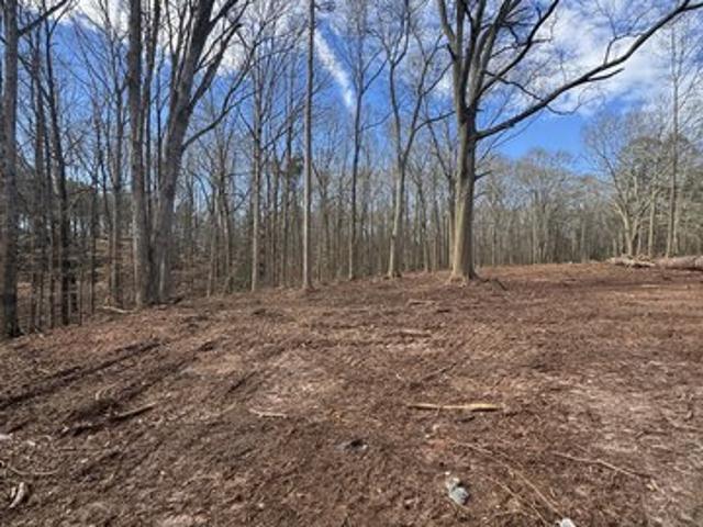 Land for sale in Bowman, Elbert County