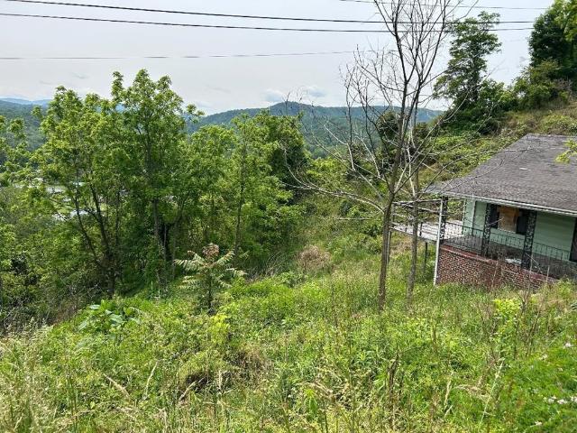 Land for sale in Virginia
