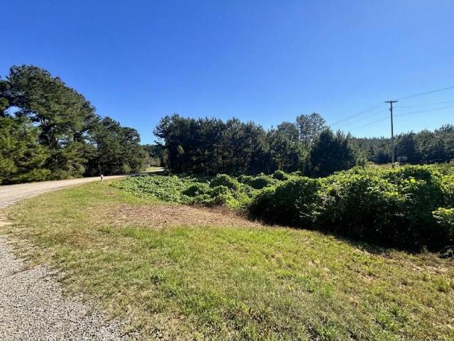 Commercial for sale in Ozark, Dale County