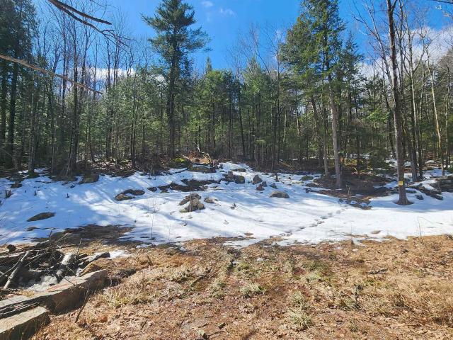 Land for sale in New Hampshire