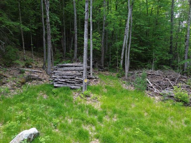 Land for sale in New Hampshire