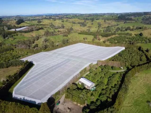 House for sale in Bay Of Plenty