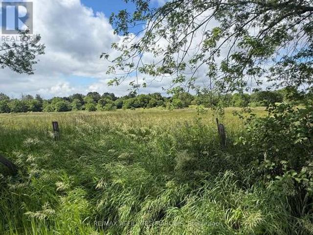Land for sale in Bloomfield, Ontario