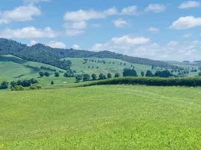 House for sale in Waikato
