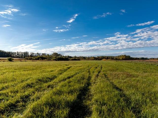 Land for sale in Browerville, Todd County