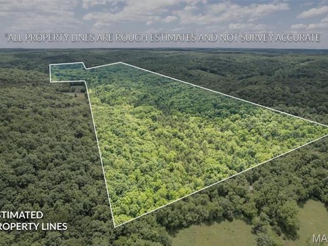 Farm for sale in Phelps, Missouri
