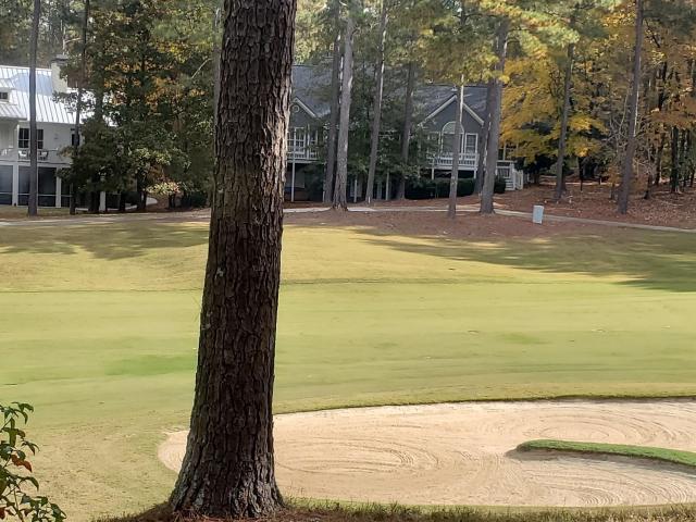 Land for sale in Greensboro, Georgia