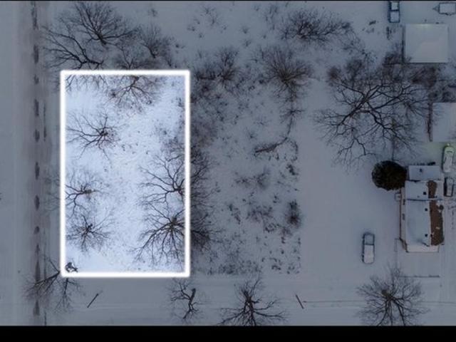 Land for sale in Carrollton, Michigan