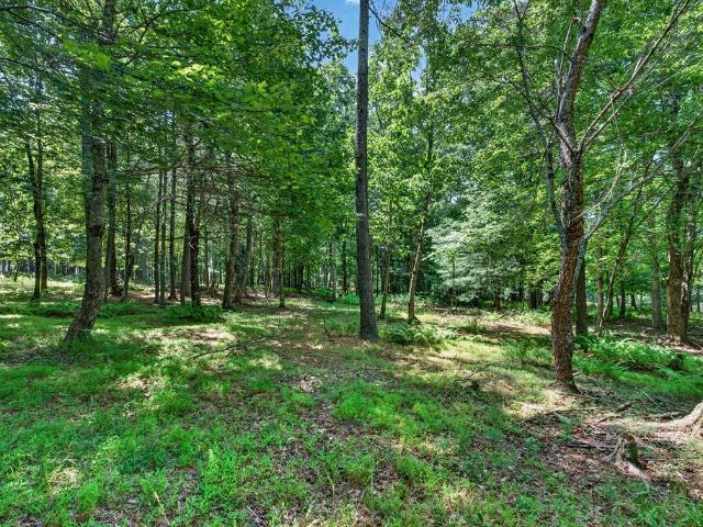 Land for sale in Virginia