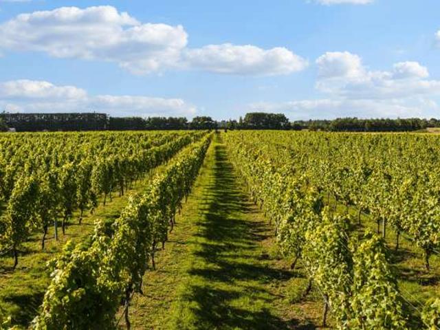 Property for sale in Burnham, Canterbury