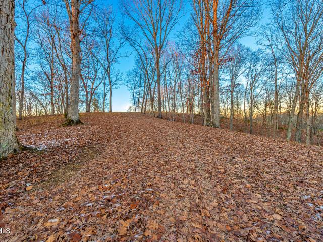 Land for sale in Tennessee