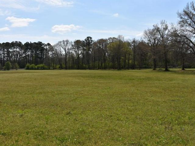 Land for sale in Alpine, Alabama