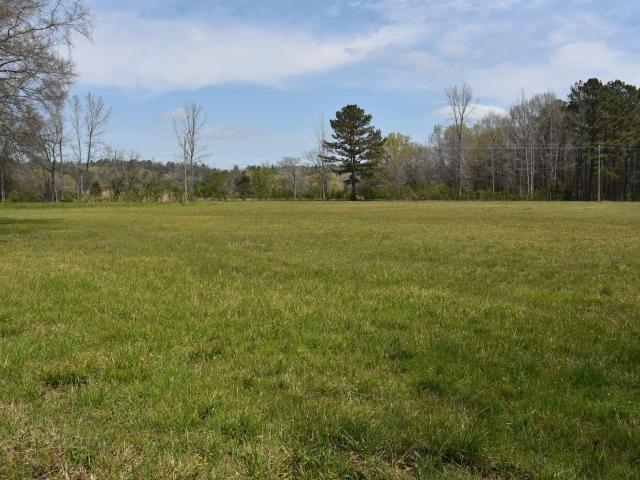 Land for sale in Alpine, Alabama